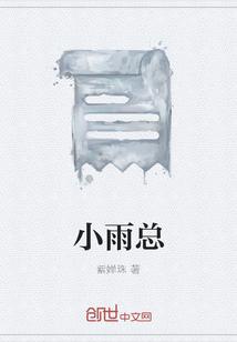 小雨总