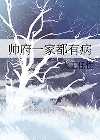 帅府一家都有病