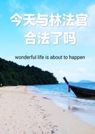 今天与林法官合法了吗